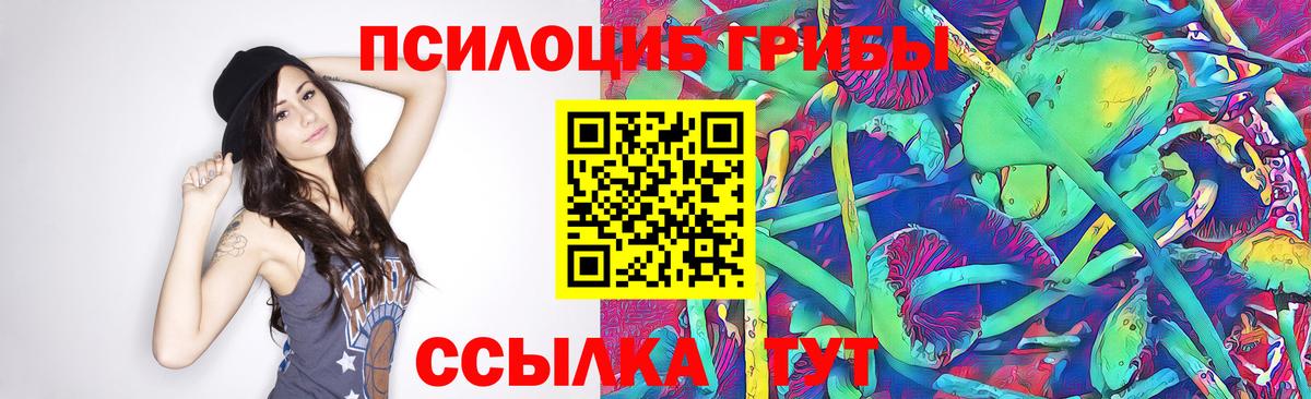 Железноводск  Галлюциногенные грибы MAGIC MUSHROOMS  Вход с VPN  Галлюциногенные грибы ЛСД 