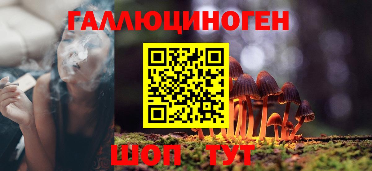 Галлюциногенные грибы Magic Shrooms Железноводск